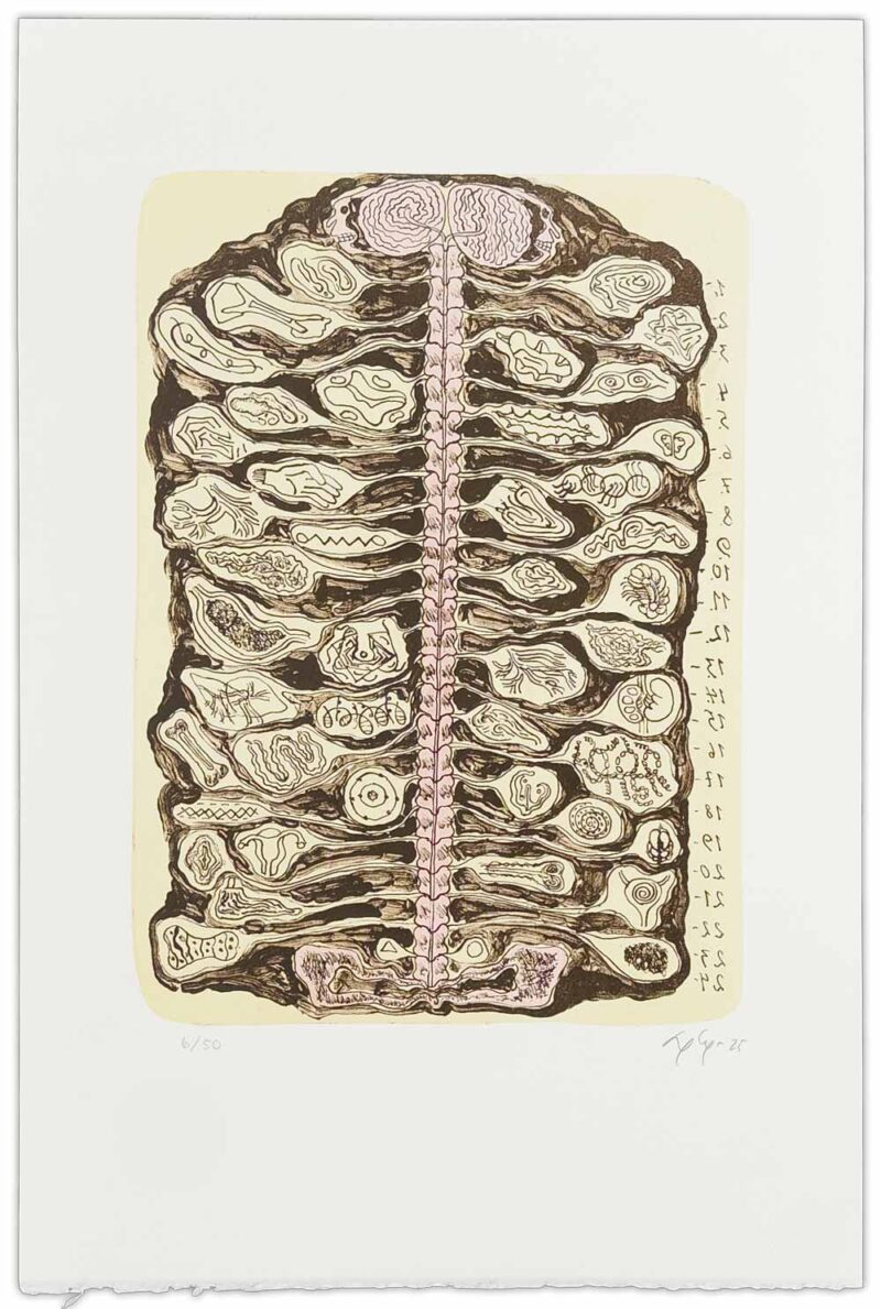 Litografi af Bjørn Nørgaard